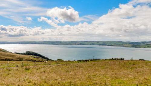 Little Laight - Foto 2