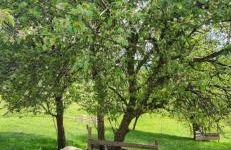 Ferienhof Rindalphorn mit Sauna in ländlicher Idylle - Foto 26