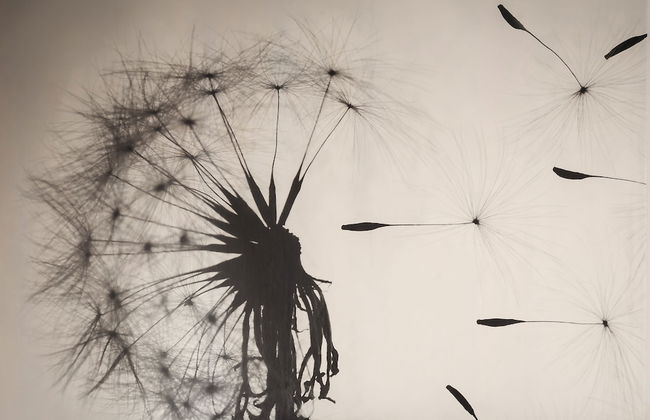 Deluxe Central Apartment - Foto 19