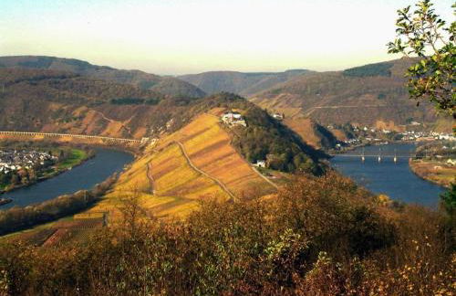 Apartment Perle-Lollipop by Interhome - Foto 18