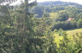 Da Santina 23 - Photo 16