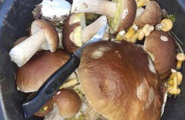 Komfortowy dom wakacyjny dla kilku rodzin - Foto 20