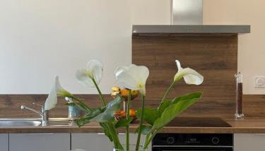 T3 en RDC avec jardin et 1 place de parking - Foto 4