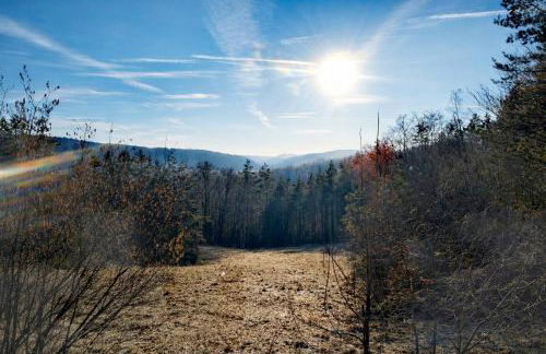 Haus Sommerseit'n Ruhe-Natur-Genuss - Photo 20