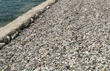 Apartments with parking spaces Bilice, Krka - 24275 - Photo 4