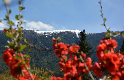 Kronplatz LOFT Bruneck - Foto 70