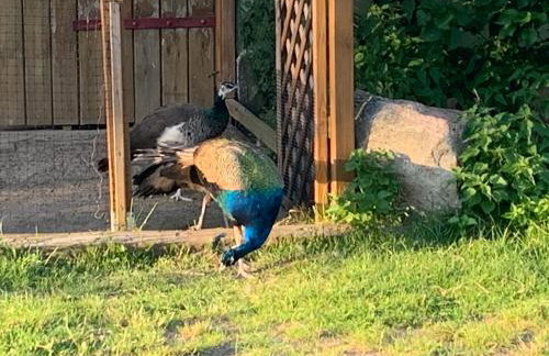 Toskania Kociewska - Photo 13