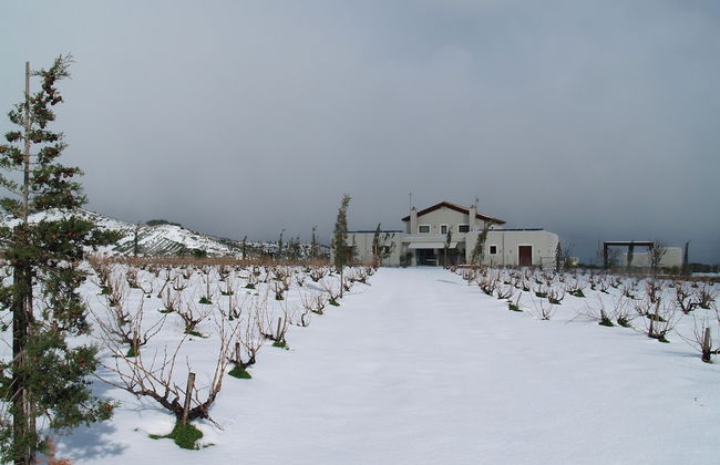 Luxurious Panoramic View Villa - Foto 77