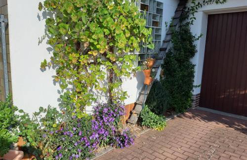 Ferienwohnung Maroldsweisach - Photo 26