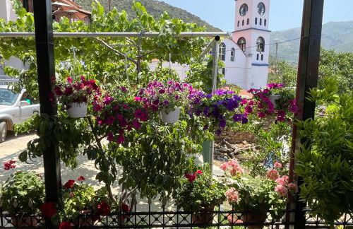 Pandeklare - Photo 25