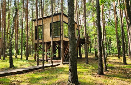 Tree Houses Olszanka - Photo 17