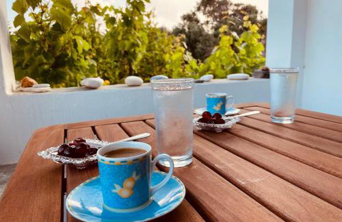 Anevalousa Beach House - Foto 66