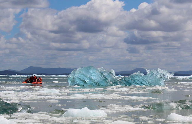 Laguna San Rafael National Park Day Cruise - Foto 6