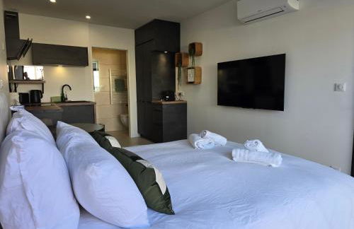 SpaLagon Jacuzzi Privé Chauffé 37 Proche Arena Parc Expo - Foto 8