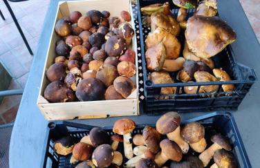 Cascina Bruna - Terrazza panoramica e giardino a Bobbio, Val Trebbia - Foto 54