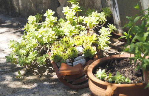 Stone cottage Lavandula - Foto 37