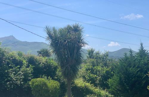 Magnifique T1 entre mer et montagne - Foto 10