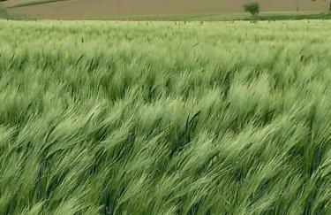 Loft Ziegelei - Foto 39