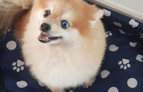 Recanto Maravista apto Frente Mar 2 quartos 2 banheiros, AR, WI FI, Piscina - Foto 118