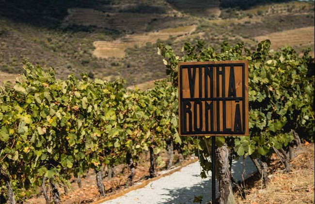 Cata de vinos en Quinta São Luiz - Foto 7