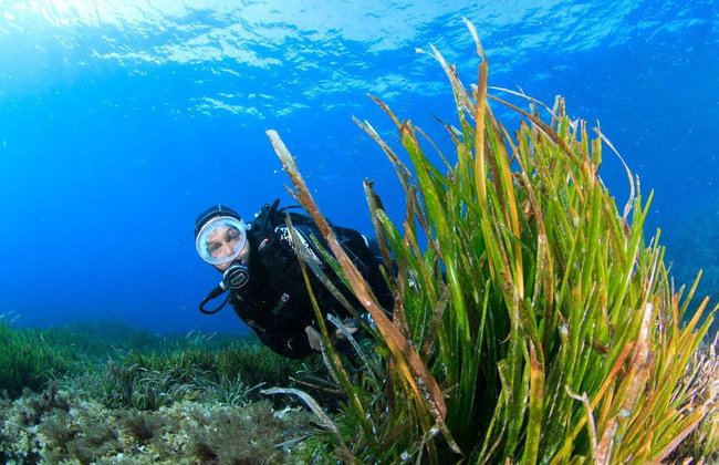 Baptême de plongée à Bosa - Photo 4