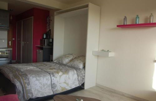 Appartement RÉSIDENCE DE LA GRÈVE - Foto 10