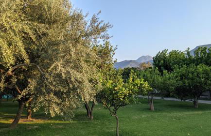 Le Jardin de Temeni - Foto 38