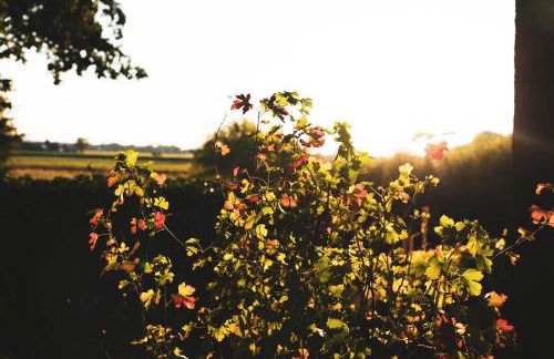 Vechteblick - Foto 21