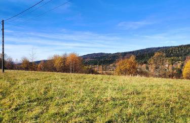 Sielanka, wyjątkowy dom, jacuzzi - Foto 61