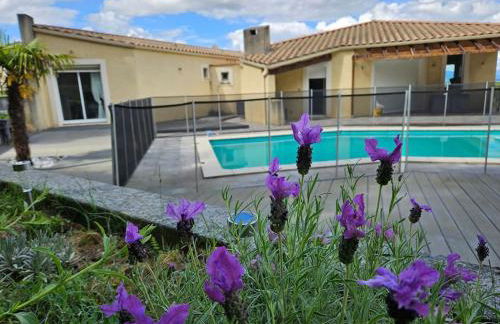 Carcassonne tranquillement - Foto 11