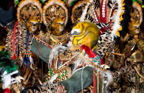 OLIVA HOLIDAYS 1 - Photo 36