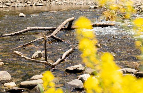 Sarnówka KDN - Foto 55