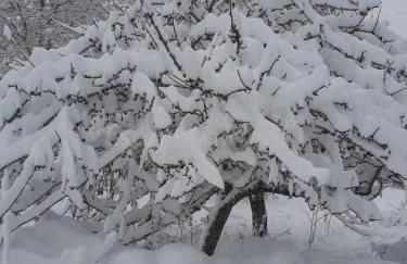 Genciana, Casa Rural con encanto en La Montaña Leonesa - Photo 49