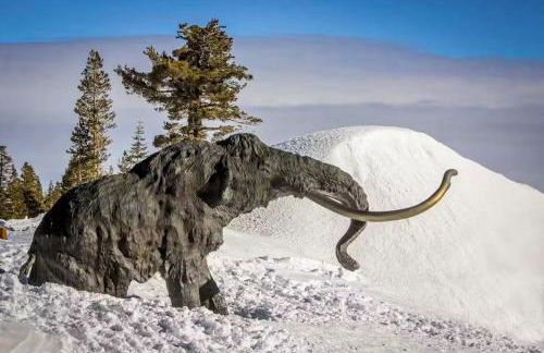 The Summit 206 - Foto 53