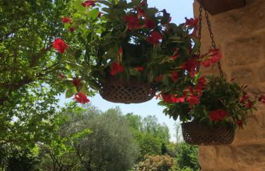 Casa Rebellato - Foto 7