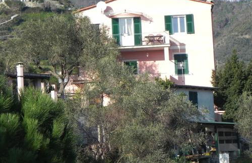 azienda agricola zulin casa elena - Foto 56