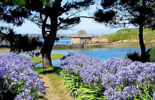 La JacoBinic - Photo 32