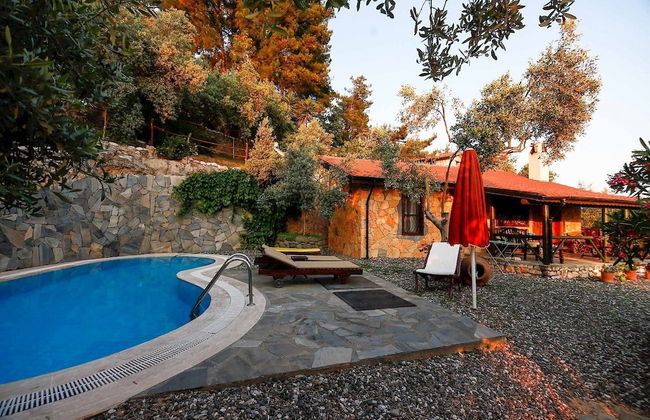 Terra Punto - Photo 3