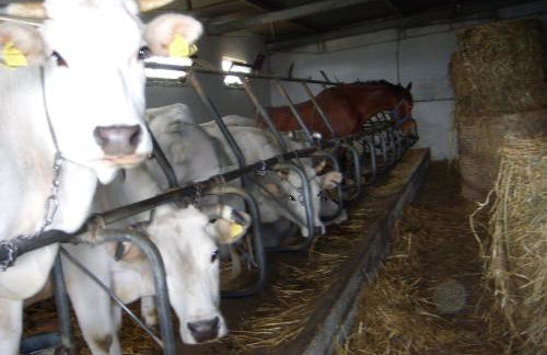 Aia di Lazzaro Agriturismo - Foto 46