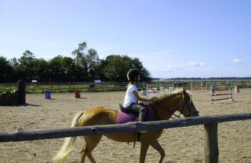 Apartament - Ferienwohnung Aurora nad morzem w Dziwnowku - Foto 6