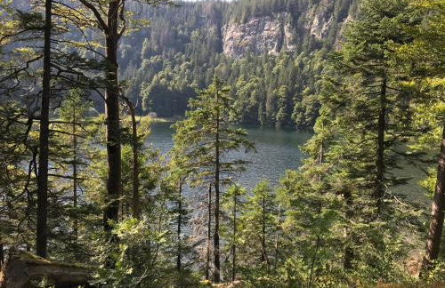 Ferienwohnung Schwarzwaldnest Feldberg - Foto 34