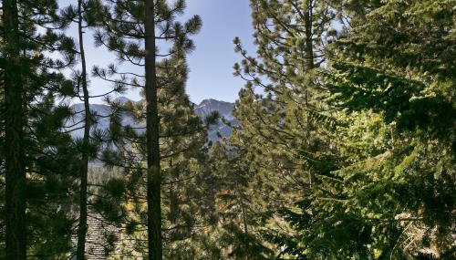 Mammoth Village Properties by 101 Great Escapes - Foto 3