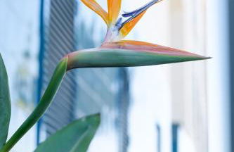 Turquesa del Mar - Max Beach Golf - Large Sunny Terrace Apartment - Foto 32