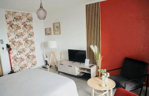 Séjour idéal Zoo de Beauval & Châteaux - Foto 7