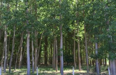 Apartamentos El Capricho - Foto 23