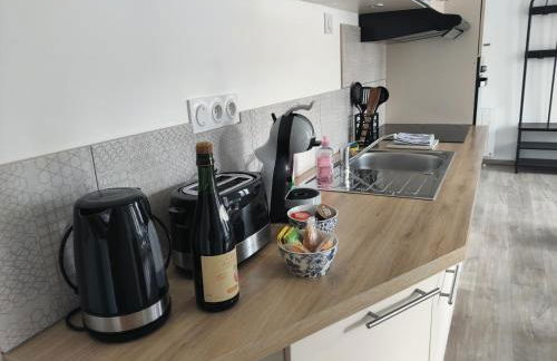 Appartement T3 PLUME Hyper centre d'ERNÉE - Foto 9