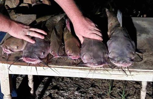 Cabin 9 ~ Toronto Lake: Fishing, Swimming & More! 1 Bedroom Cabin by RedAwning - Foto 41