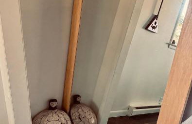 Chic Dunes Cottage with HOT TUB near Warren Dunes - Foto 24