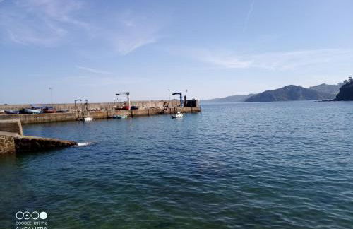 Tazones 79 VUT6993AS - Foto 37