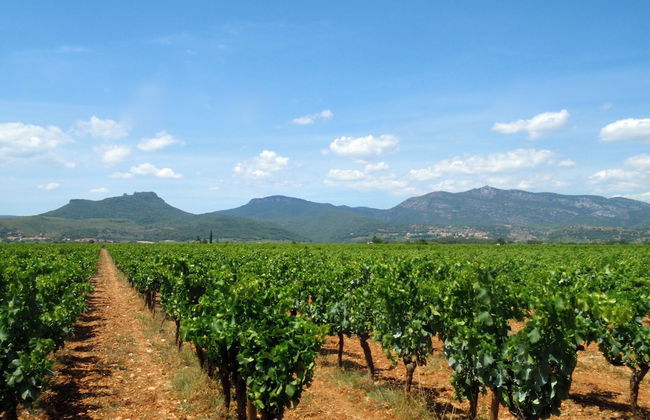 Country Kids Resort - All Inclusive - Foto 14